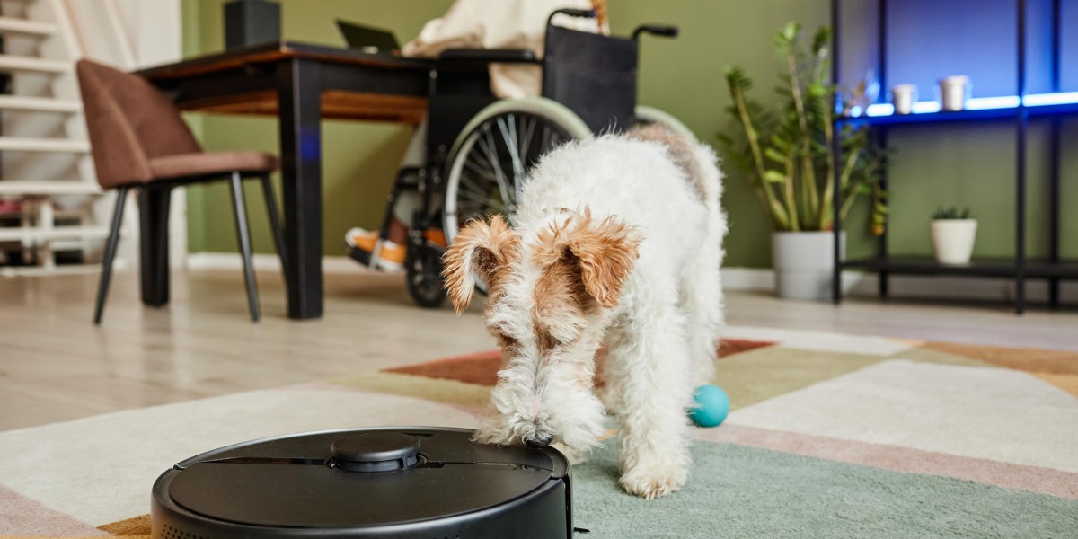 10 Best Robot Vacuum Tips All Experts Recommend