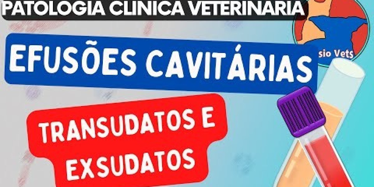 Hormônios em Foco: Entenda a Importância dos Exames na Saúde dos Seus Pets